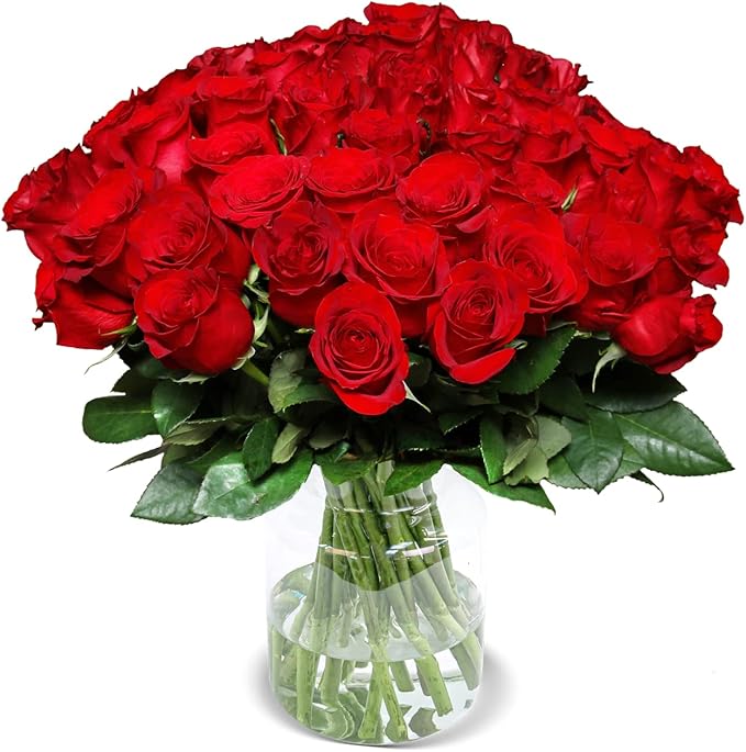Rosenstrauß mit 40 roten Rosen – Frische Schnittrosen in Floristenqualität, ca. 40 cm Länge